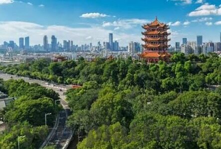 竞足球比分即时比分-实时追踪，竞足球比分即时比分背后的激情与策略