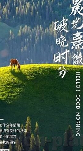 球探足球探比分-揭秘球探足球探比分，数据背后的绿茵场智慧与博弈